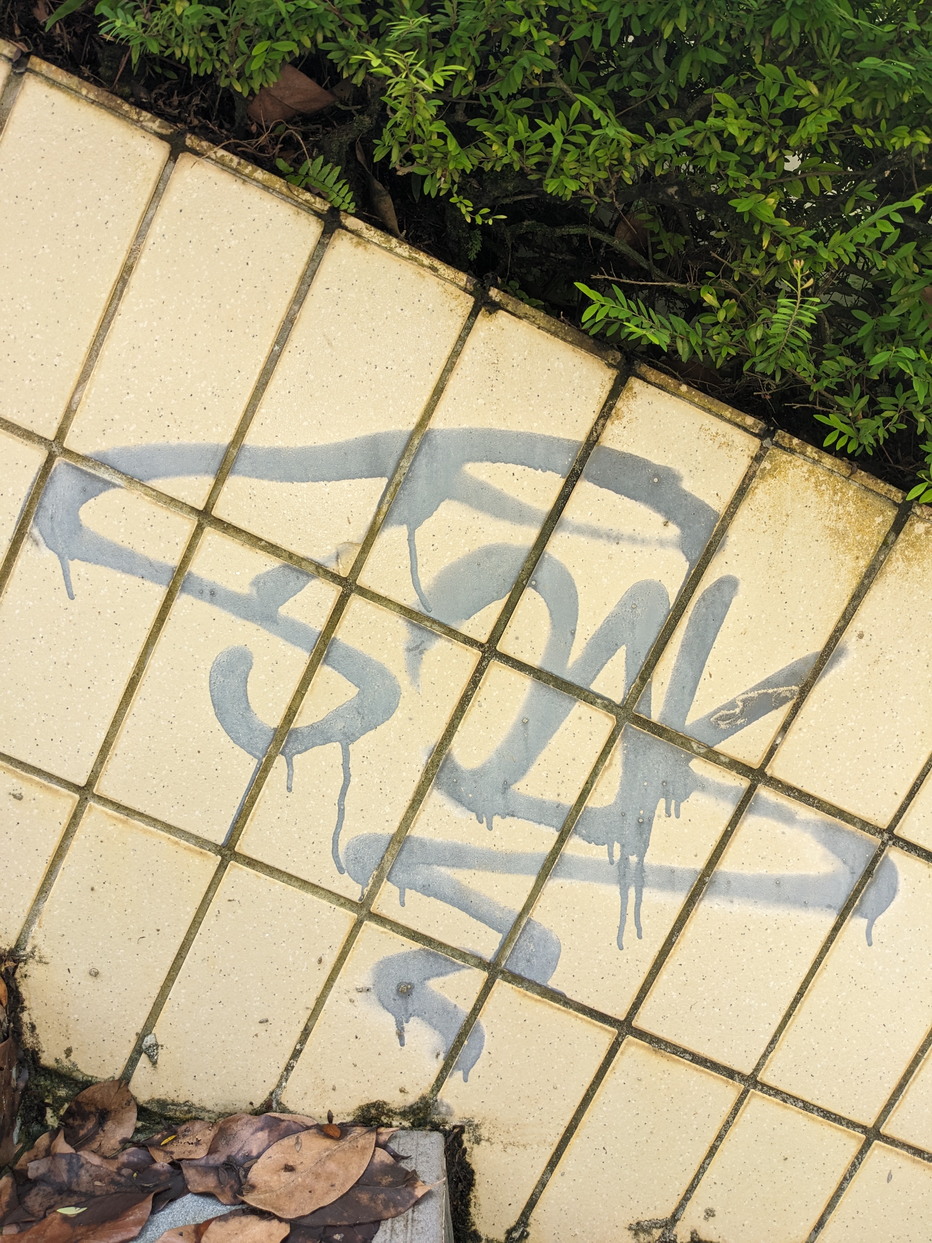 Grafitti on a wall in an alley