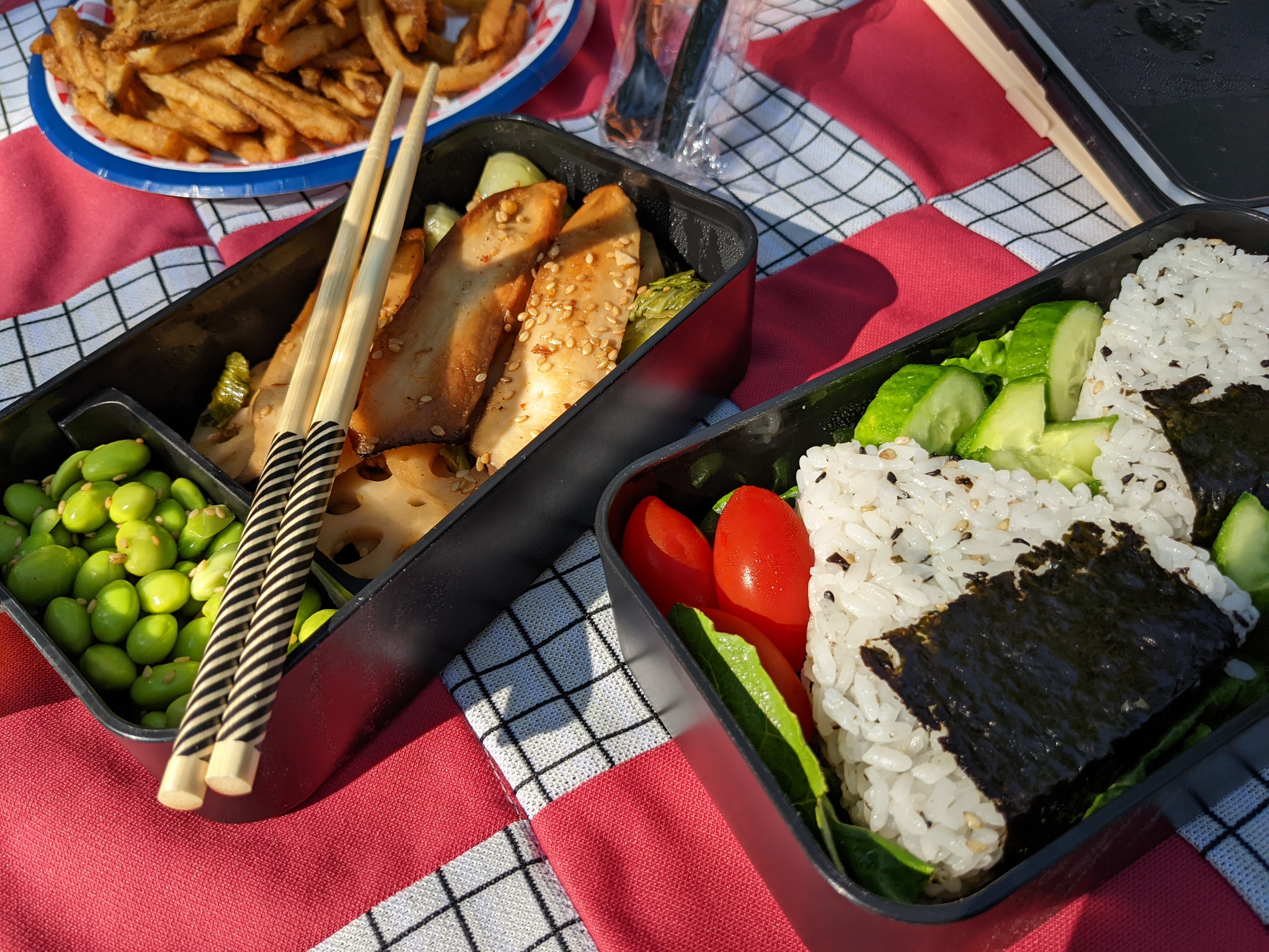 Picture of a homemade bento box
